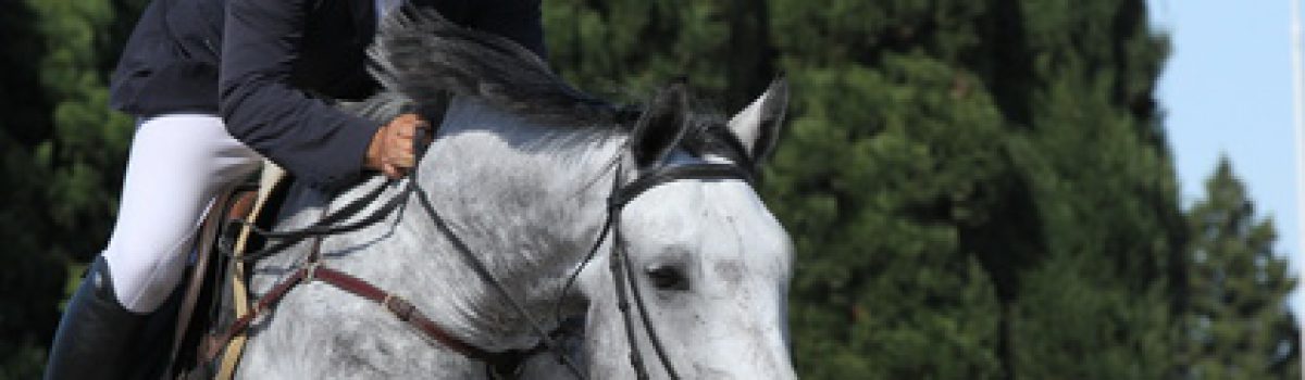 „kissing-spines-Syndrom“ – Rücktritt vom Pferdekaufvertrag unter anderem wegen Rittigkeitsmängel