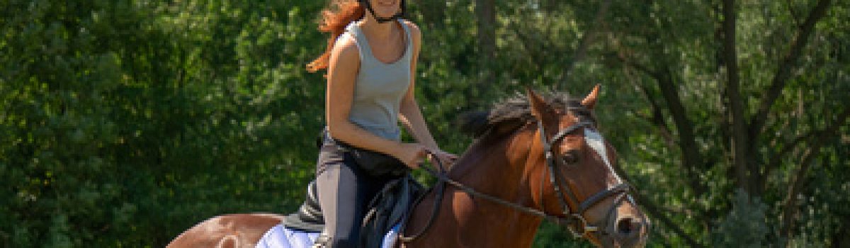Unfall bei Proberitt – Kein konkludenter (stillschweigender) Haftungsausschluss bei einem Proberitt auf Veranlassung des Pferdehalters